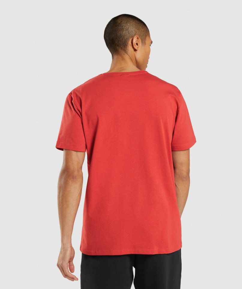 Men's Gymshark Sharkhead Infill T-Shirts Red | CA 87N036